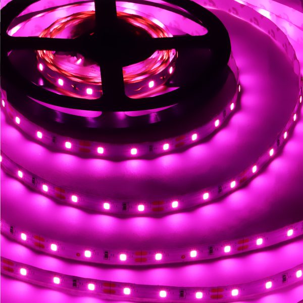 LEARC 2835 LED strip 120 LED 8 mm 12 watt per meter used with 12 volt 5A LED driver without driver pink 5 meter B1192