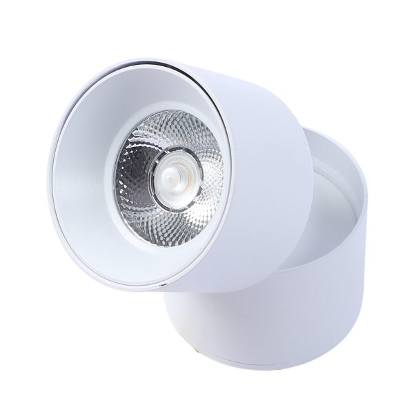LEARC 30 watt COB SURFACE LIGHT 360 DEGREE ADJUSTABLE WHITE GS1415