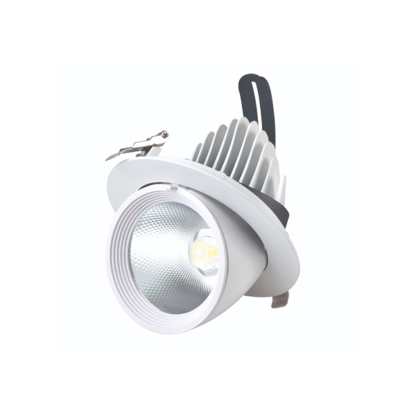 LEARC aluminium white finish 12 watt heavy duty LED zoom down light for commercial applications GS1501