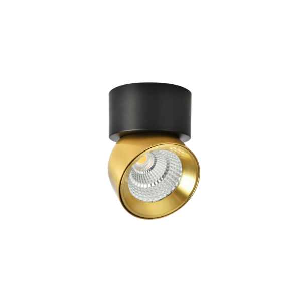 LEARC aluminium antique finish 12 watt all angle adjustible surface spot light PR6322