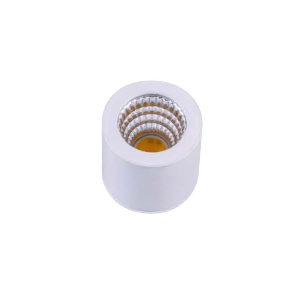 LEARC aluminium white finish 2 watt Bridgelux LED surface light SE2332