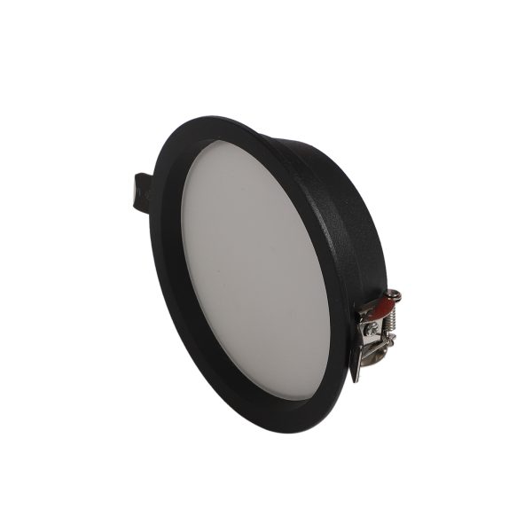 LEARC aluminium die cast powder coated black finish 12 watt LED down light with Bridgelux LED and Philips driver TR1701