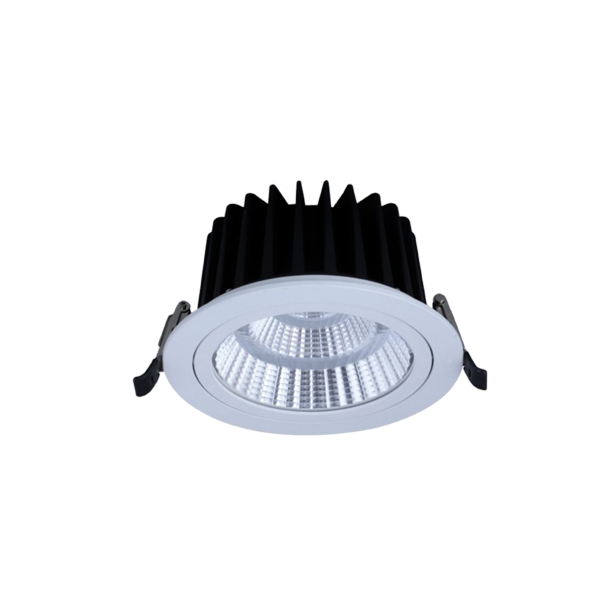 LEARC aluminium white finish heavy duty 50 watt LED down light with Bridgelux COB and FULHAM Driver for commercial applications TR1874