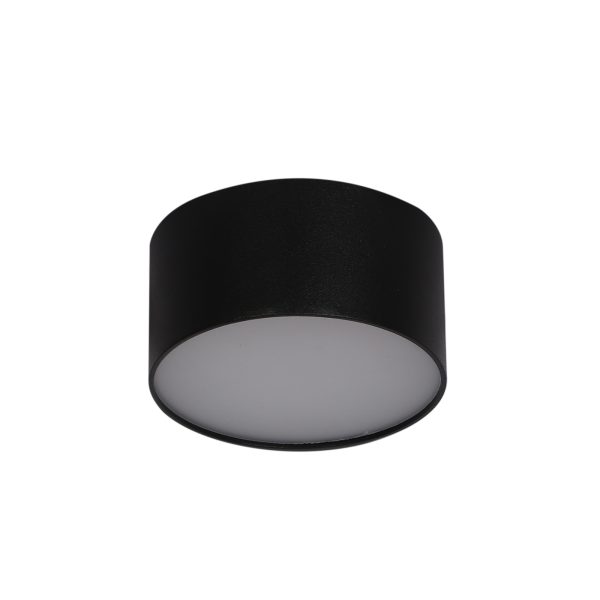 LEARC aluminium black 22 LED drum ceiling light surface with Bridgelux LED and Fulham Driver TR1899